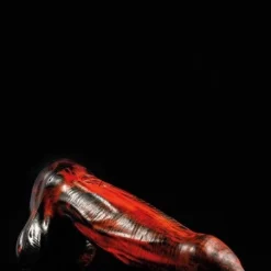 Gode Mammon - Twisted Beast -Vestiaire Fetish Soldes gode mammon twisted beast 9