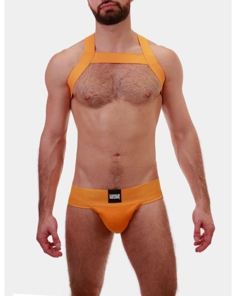 Barcode Berlin Harnais élastique Matt 2 Barcode Berlin Harnais élastique Matt – Image 2