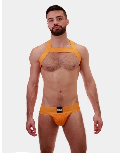 Barcode Berlin Harnais élastique Matt 1 Barcode Berlin Harnais élastique Matt