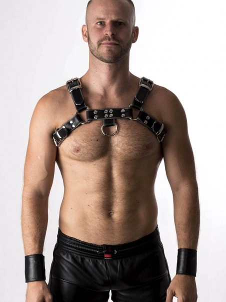 RoB Accessoires Harnais En Cuir Souple Pitbull Bords Gris 1 RoB Accessoires Harnais En Cuir Souple Pitbull Bords Gris