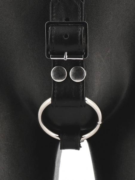 RoB Accessoires Harnais T 4 RoB Accessoires Harnais T – Image 4