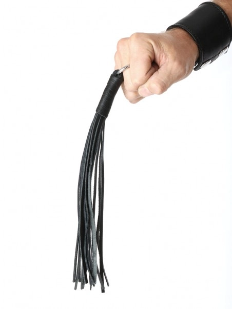 Autres Petit Martinet 1 Autres Petit Martinet